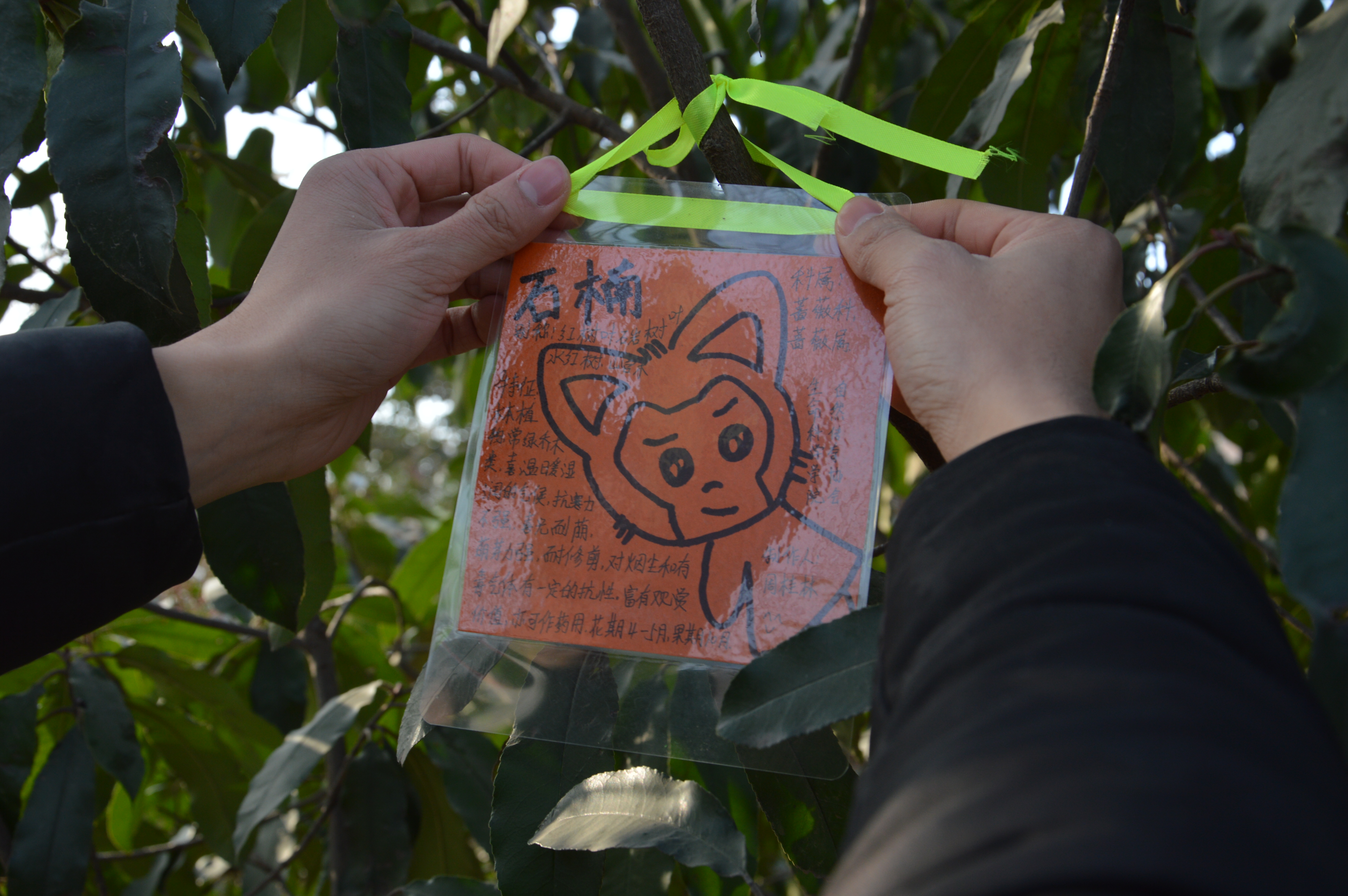 生命科学学院开展给植物一个身份证主题植物挂牌活动