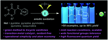 Graphical abstract:Electrochemically facilitated oxidative C–H amination enables access to fluorescent N9-fused tricyclic xanthines