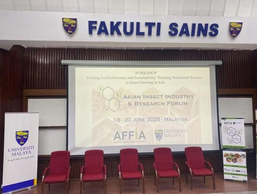 团队教师徐歆歆博士参加2025...