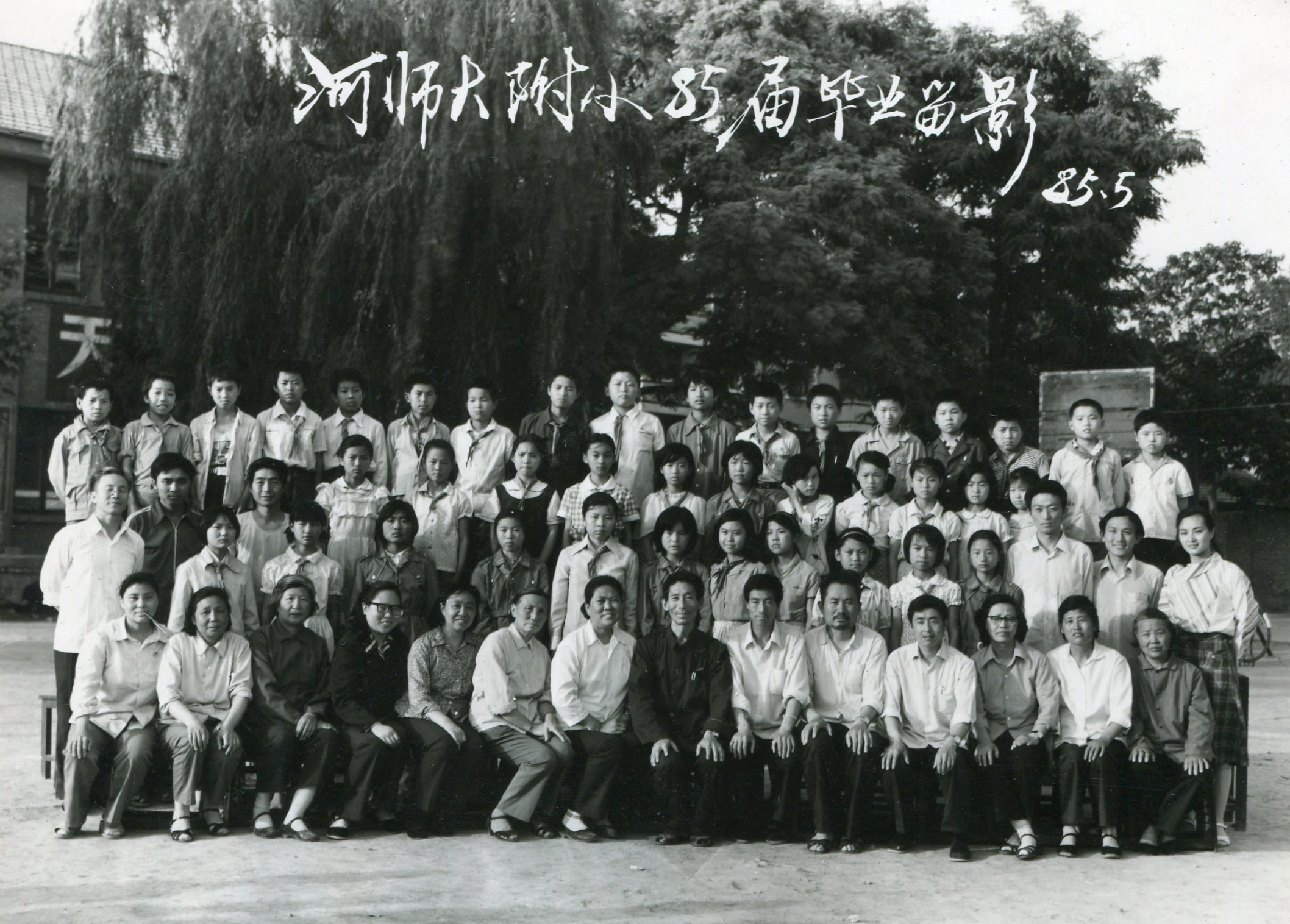 1985年毕业生照片