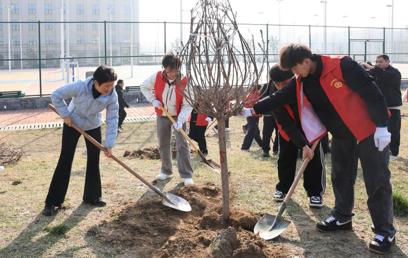 我校开展植树节劳动教育实践活动