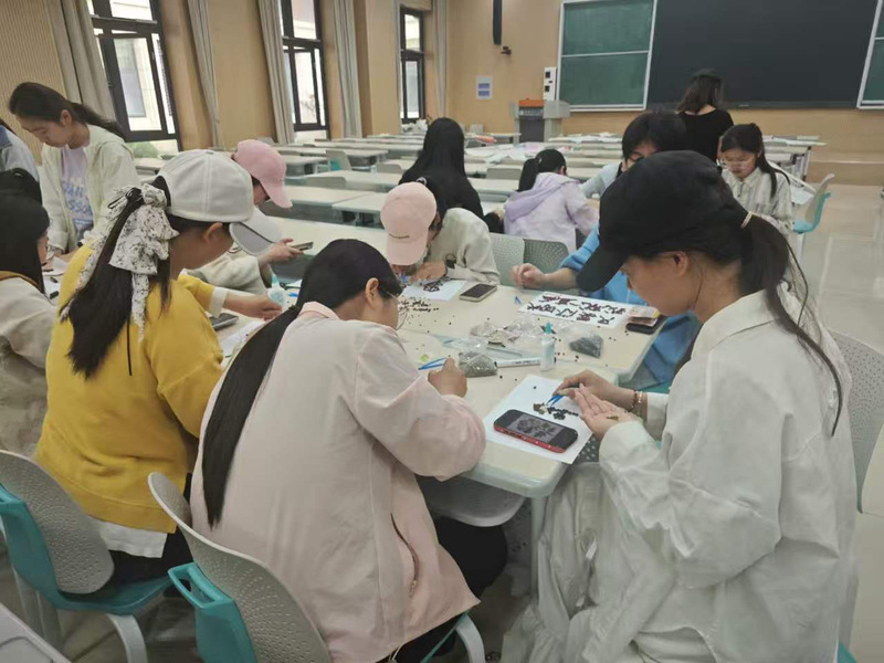 生命科学学院开展“五谷‘画’丰...