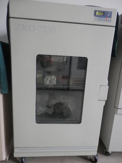 鼓风干燥箱