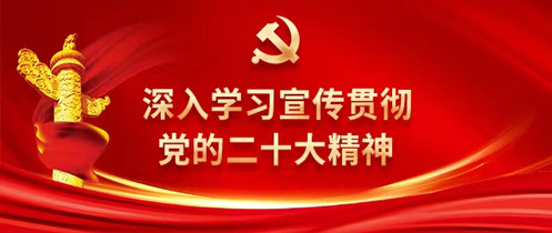 深入学习宣传贯彻党的二十大精神