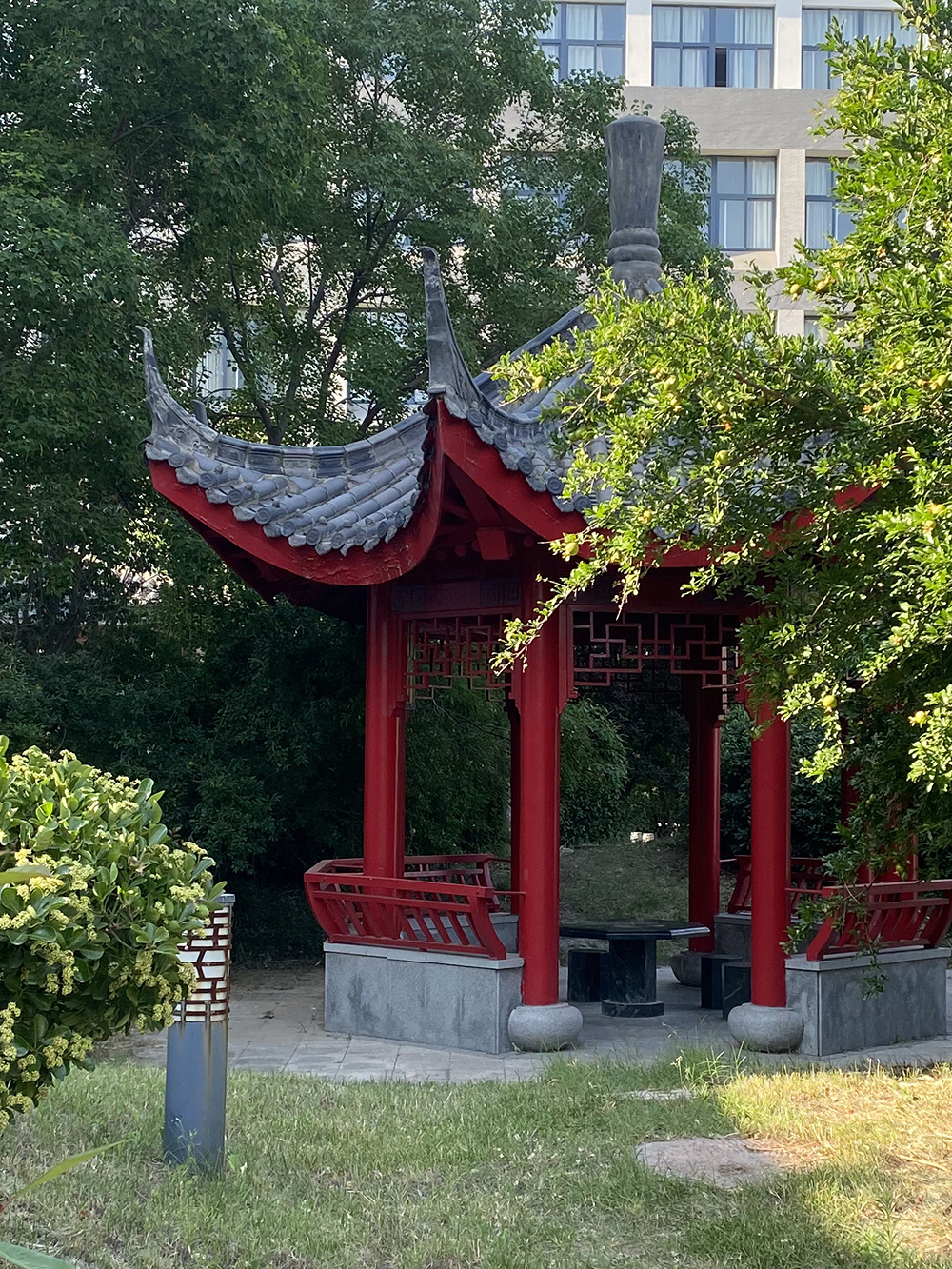 校园映像
