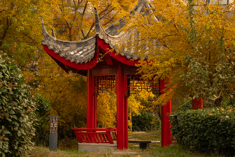 校园美景