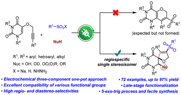 Graphical abstract:Electrochemical regioselective synthesis of sulfonyl 2,5-dihydrofuran-fused spiropyrimidines via multi-component radical cascade reactions