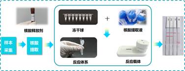 未标题-1