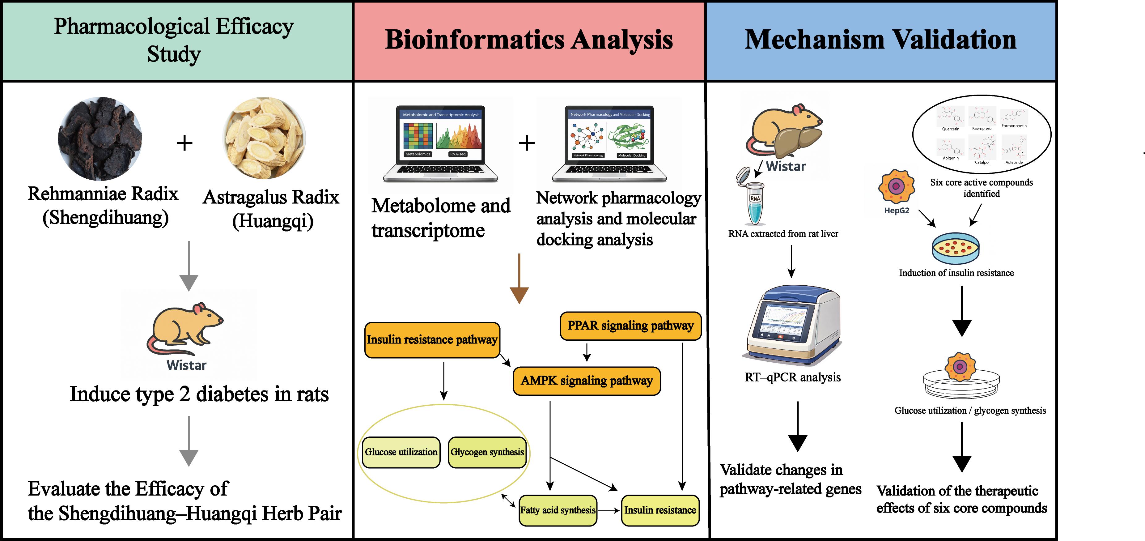 我团队曹香林副教授作为第一作者...
