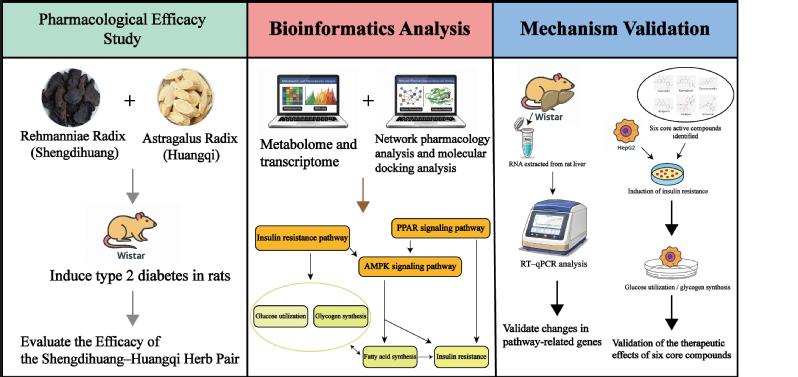 我团队曹香林副教授作为第一作者...