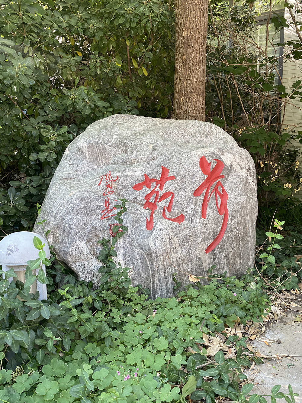 校园映像