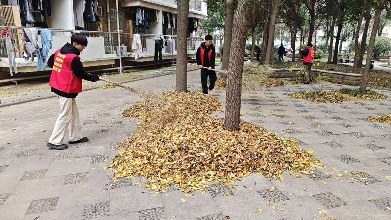 “‘寓’见秋色，落叶寄情” 校...